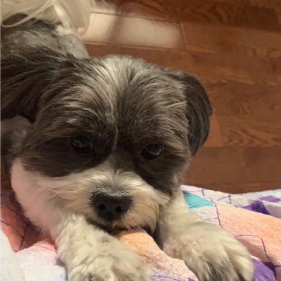 Meet your Posher, Natalie - Picture 1 of 1